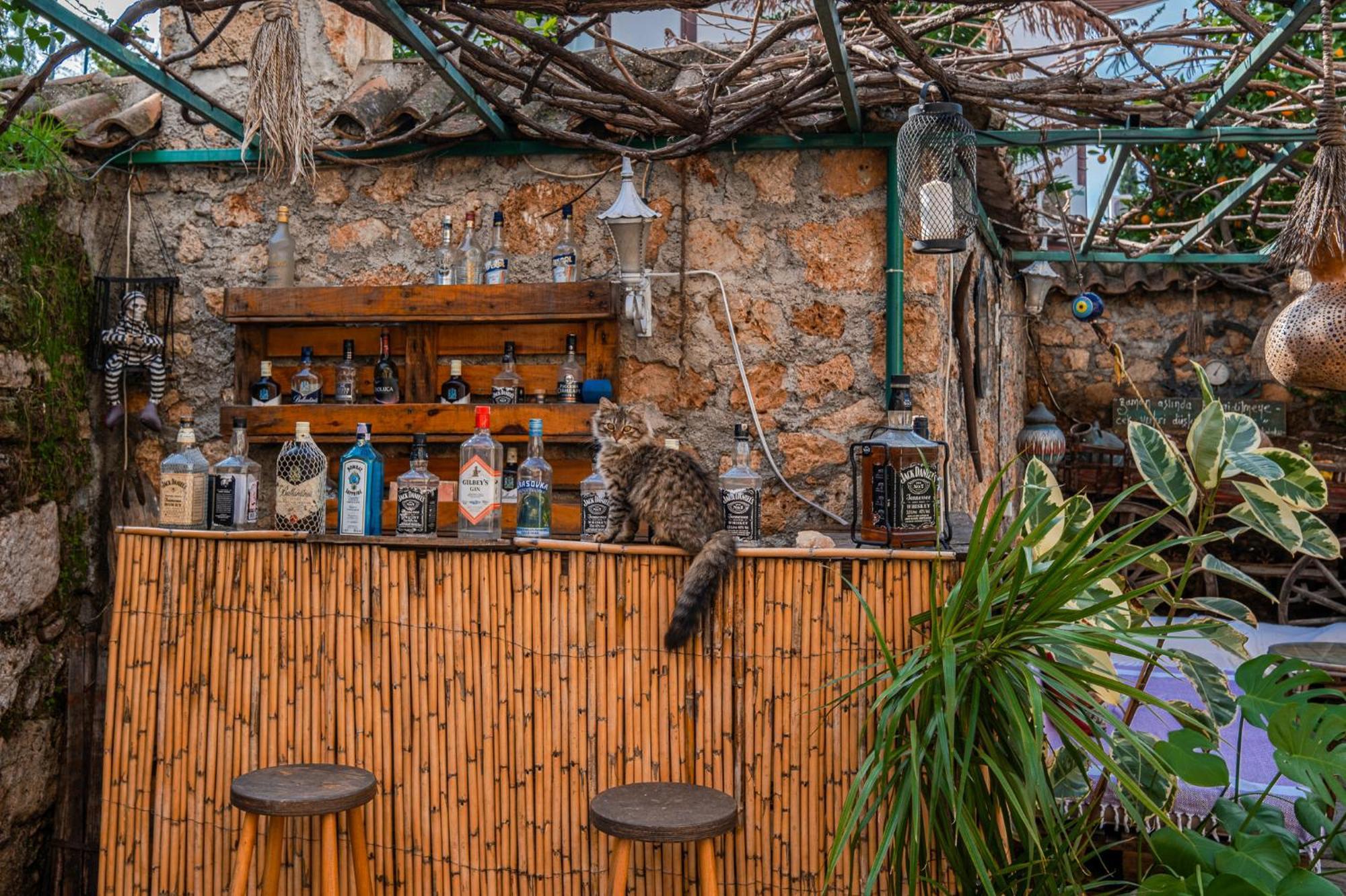 Villa Tulipan Antalya Buitenkant foto
